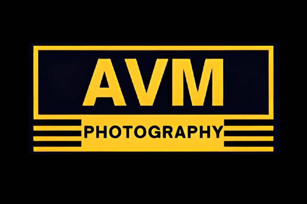 AVMLOGO.JPG