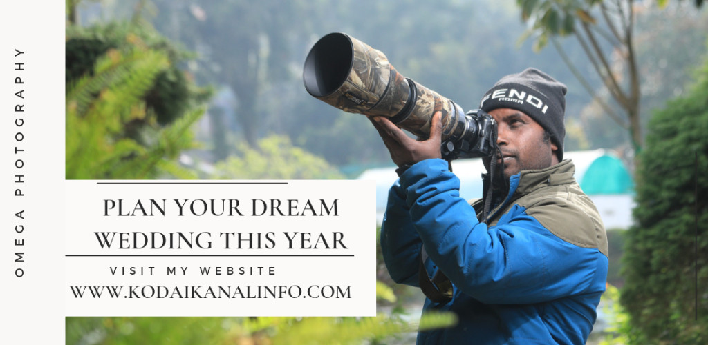 weddingzmiz7a9wpackages