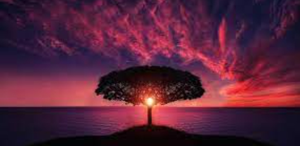 gfghtjn4nmonzgpackages