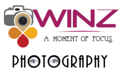 winz-studio-logo