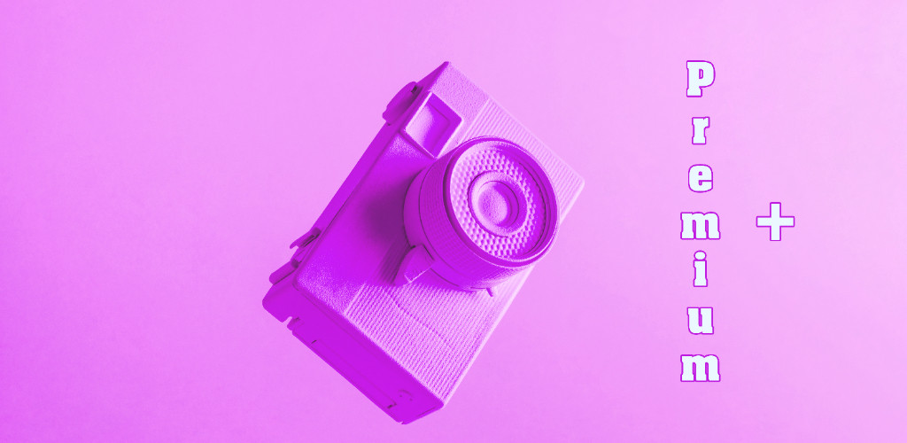 wedding-premium-plusq4e4hku6packages