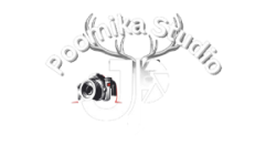 poomika-studio-logo