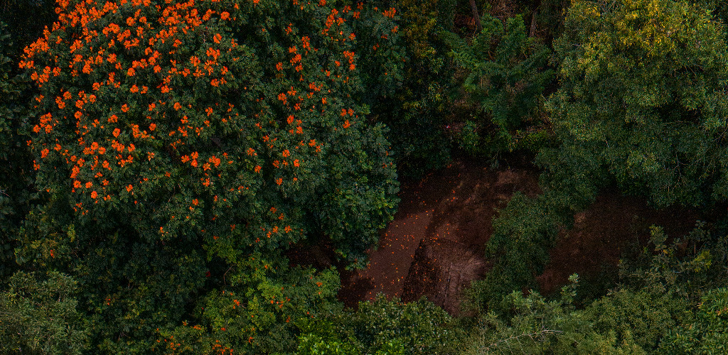 drone-videography-and-photographyyfcsuhn...