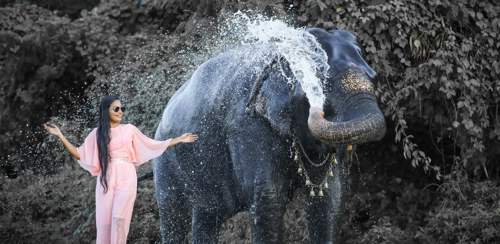 platinum5q585z25packages