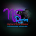 n-s-raman-digital-studio-logo